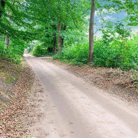 Lovely Holiday In Near Forest * Lunteren
